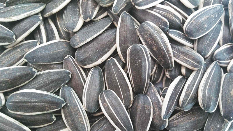 ʲô�˲��ܳԿ����� ʲô�˲��ܳԿ�������